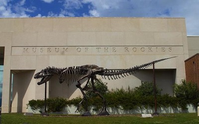 Museum of the Rockies