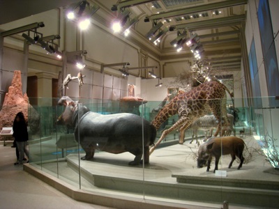 Smithsonian National Museum of Natural History